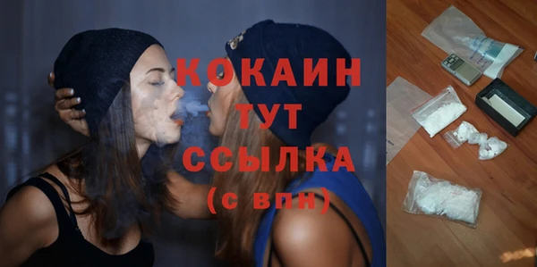 мяу мяу мука Баксан