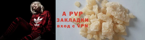 гашик Белокуриха