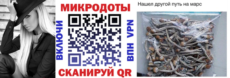 Галлюциногенные грибы мухоморы  Купить где  Воркута 